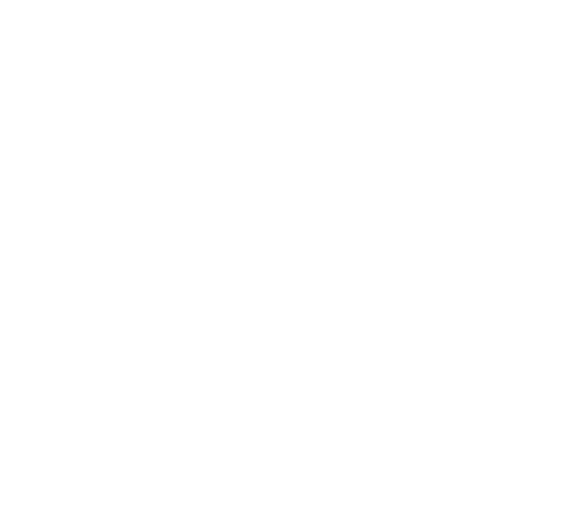 The Hoxton Hotel